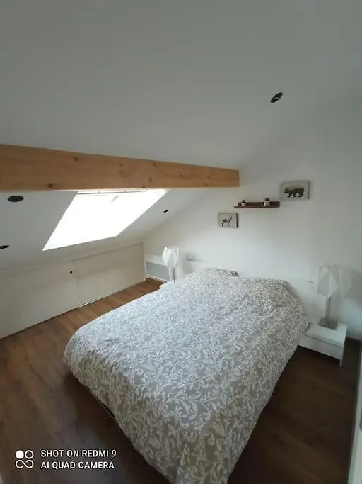 Meuble 3* Neuf Entre Lacs, Montagnes Et Bauges. Mures-les Balmettes France